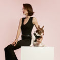 Load image into Gallery viewer, DOGISTRY SoHo Dog Harness - Rockstar