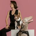 Load image into Gallery viewer, DOGISTRY SoHo Dog Harness - Rockstar