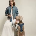 Load image into Gallery viewer, DOGISTRY 3-in-1 City Dog Leash - Denim