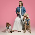 Load image into Gallery viewer, DOGISTRY SoHo Dog Harness - Denim