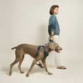 Load image into Gallery viewer, DOGISTRY 3-in-1 City Dog Leash - Denim