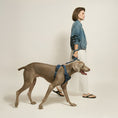 Load image into Gallery viewer, DOGISTRY The NoMad Adjustable Luxe Harness - Denim