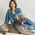 Load image into Gallery viewer, DOGISTRY The NoMad Adjustable Luxe Harness - Denim