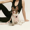 Load image into Gallery viewer, DOGISTRY 3-in-1 City Dog Leash - Blush