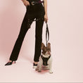 Load image into Gallery viewer, DOGISTRY SoHo Dog Harness - Rockstar