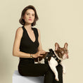 Load image into Gallery viewer, DOGISTRY SoHo Dog Harness - Rockstar