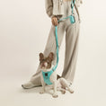 Load image into Gallery viewer, DOGISTRY SoHo Dog Harness - Fifth Avenue