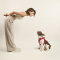 Load image into Gallery viewer, DOGISTRY SoHo Dog Harness - Iconic Red