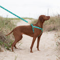 Load image into Gallery viewer, Dolphin Dog Harness