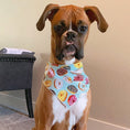 Load image into Gallery viewer, Donuts Tie Dog Bandana