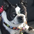 Load image into Gallery viewer, Donuts Dog Harness