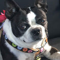 Load image into Gallery viewer, Up Country Donuts Dog Cast Brass Dog Harness