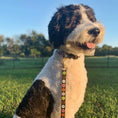 Load image into Gallery viewer, Donuts Dog Collar