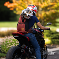 Load image into Gallery viewer, Knavigate | Advanced Dog Carrier with Internal Frame & Hip Belt