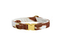 Load image into Gallery viewer, Bowsers Designer Buckle Dog Collar in durango