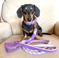 Load image into Gallery viewer, WASTE BAG HOLDER - LAVISH LAVENDER