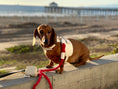 Load image into Gallery viewer, HARNESS - HOT MARINE