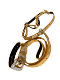 Load image into Gallery viewer, Glam Gold Embossed Studded Italian Leather Collar, Leash & Harness Set With Our Custom Swarovski Crystal Buckle
