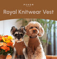 Load image into Gallery viewer, Pet Sweater Vest - Toffee Orange