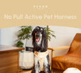 Load image into Gallery viewer, NO PULL ACTIVE PET HARNESS - APRICOT