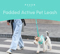 Load image into Gallery viewer, PADDED ACTIVE PET LEASH - MINT GREEN