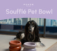 Load image into Gallery viewer, Soufflé Pet Bowl - Purple