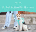 Load image into Gallery viewer, NO PULL ACTIVE PET HARNESS - MINT GREEN