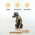 Load image into Gallery viewer, PADDED ACTIVE PET LEASH - APRICOT