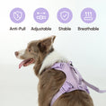 Load image into Gallery viewer, NO PULL ACTIVE PET HARNESS - MINT PURPLE