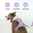 Load image into Gallery viewer, PADDED ACTIVE PET LEASH - MINT PURPLE