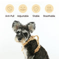 Load image into Gallery viewer, NO PULL ACTIVE PET HARNESS - APRICOT