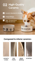 Load image into Gallery viewer, DERPY BOWL