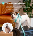 Load image into Gallery viewer, PADDED ACTIVE PET LEASH - MINT GREEN