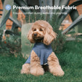 Load image into Gallery viewer, Pet Sweater Vest - Ice Blue