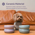 Load image into Gallery viewer, Soufflé Pet Bowl - Purple