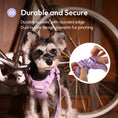 Load image into Gallery viewer, NO PULL ACTIVE PET HARNESS - MINT PURPLE
