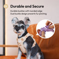 Load image into Gallery viewer, NO PULL ACTIVE PET HARNESS - APRICOT