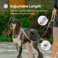 Load image into Gallery viewer, PADDED ACTIVE PET LEASH - MINT PURPLE