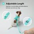 Load image into Gallery viewer, PADDED ACTIVE PET LEASH - MINT GREEN