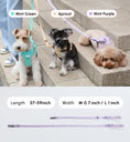 Load image into Gallery viewer, PADDED ACTIVE PET LEASH - MINT PURPLE