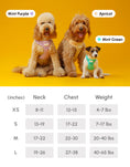 Load image into Gallery viewer, NO PULL ACTIVE PET HARNESS - MINT GREEN