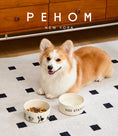 Load image into Gallery viewer, DERPY BOWL