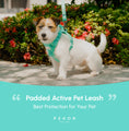 Load image into Gallery viewer, PADDED ACTIVE PET LEASH - MINT GREEN
