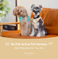 Load image into Gallery viewer, NO PULL ACTIVE PET HARNESS - APRICOT