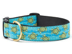 Sea Turtle Extra Wide Dog Collar 1.5
