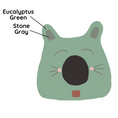 Load image into Gallery viewer, Cat Face Design | Ear Style Cave
