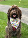 Load image into Gallery viewer, Easter Peeps Bunny Bandana