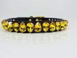 Easy Liz Dog Collar in Light Topaz