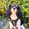 Load image into Gallery viewer, EcoBark Step In Dog Harness - XXXS to Small Breeds- Reflective Soft Mesh Harness for Teacup, Small Dogs and Puppies / Houndstooth