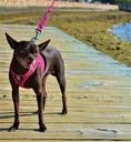Load image into Gallery viewer, EcoBark Step In Dog Harness - XXXS to Small Breeds- Reflective Soft Mesh Harness for Teacup, Small Dogs and Puppies / Hot Pink